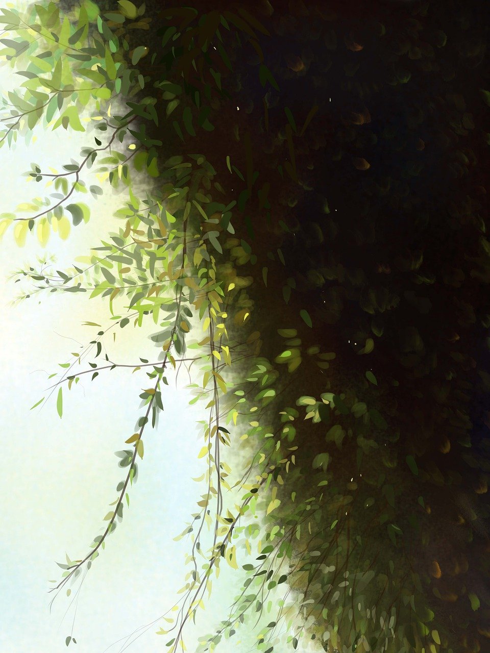 의사면허번호 조회