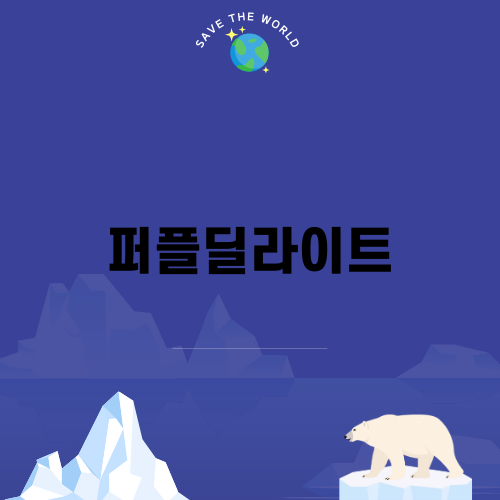 퍼플딜라이트, 보라빛의 매력