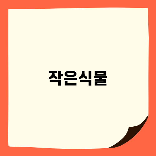 작은식물 관리 및 분갈이 팁