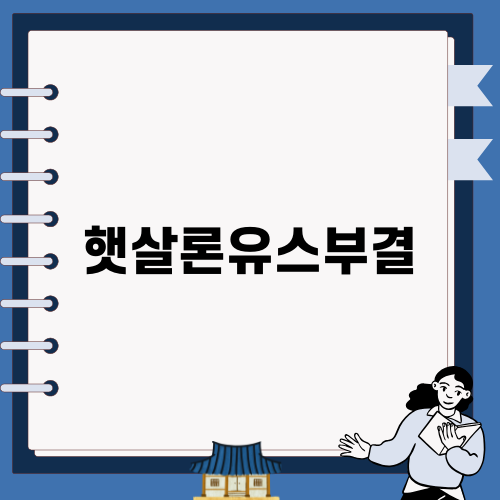 햇살론유스부결 이해하기